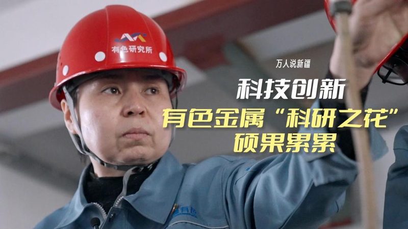 信息化建设招标文件模板：构建高效招标流程的关键**